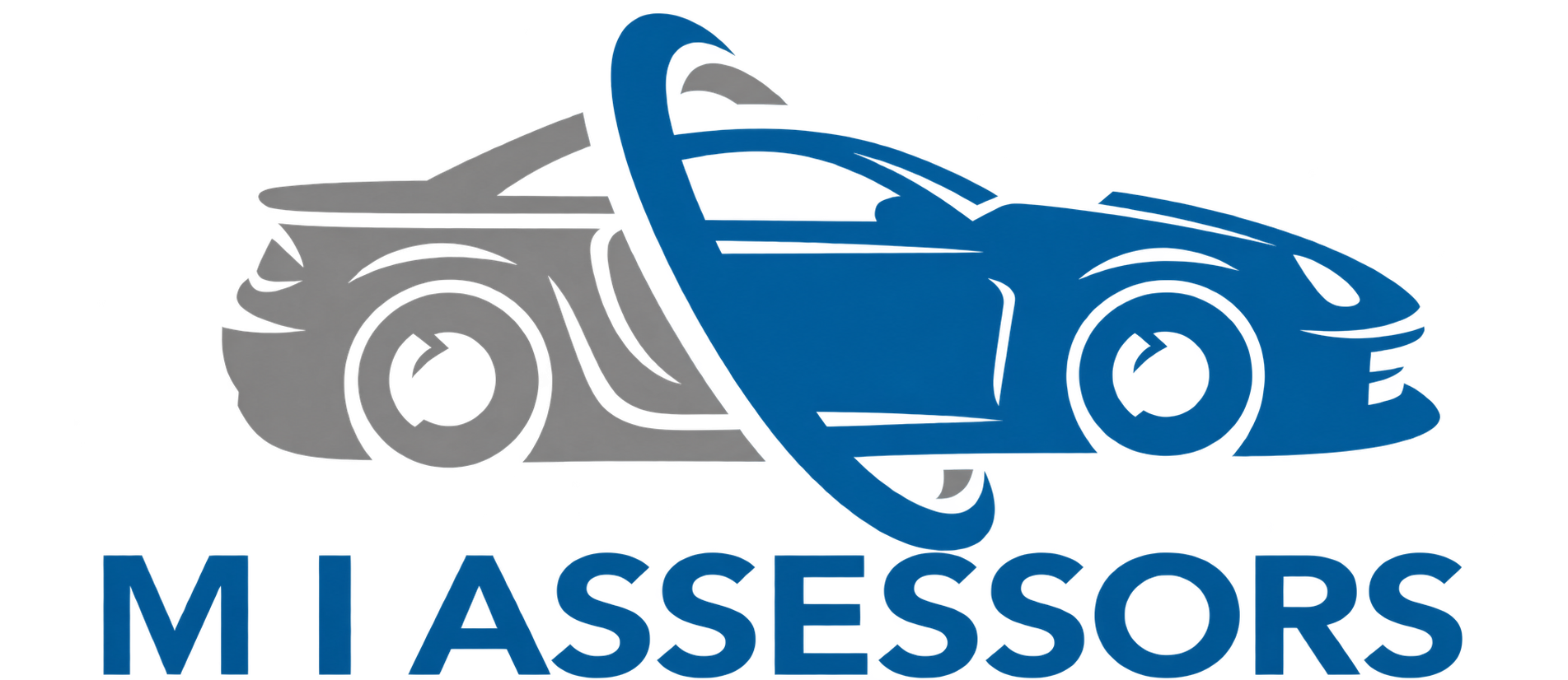 M I Assessors